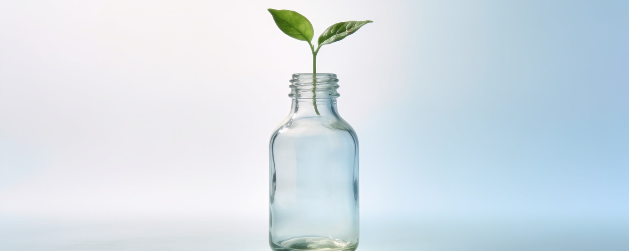Emballages en verre responsables chez IBO Glass